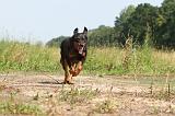 BEAUCERON 033